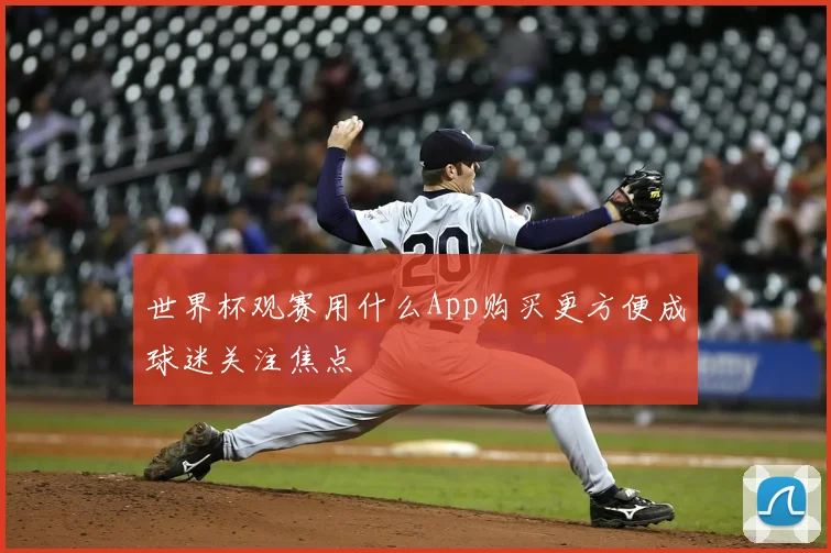 世界杯观赛用什么App购买更方便成球迷关注焦点