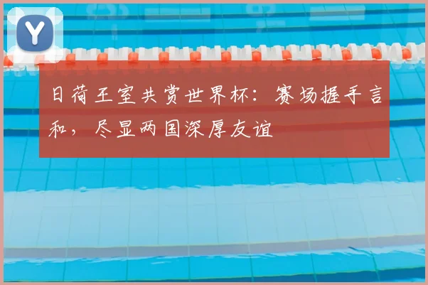 日荷王室共赏世界杯：赛场握手言和，尽显两国深厚友谊