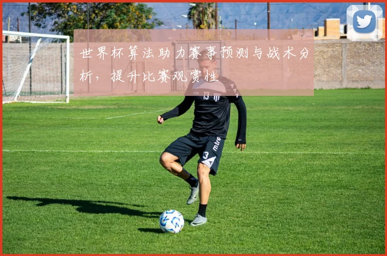 世界杯算法助力赛事预测与战术分析，提升比赛观赏性