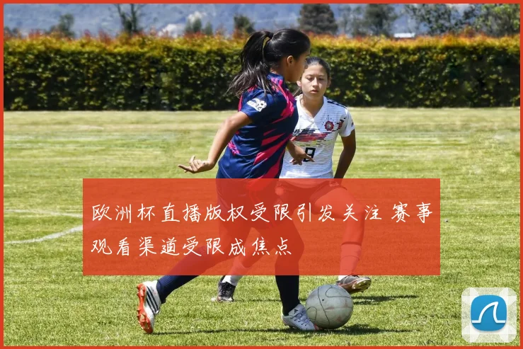 欧洲杯直播版权受限引发关注 赛事观看渠道受限成焦点