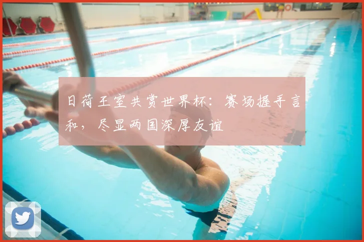 日荷王室共赏世界杯：赛场握手言和，尽显两国深厚友谊