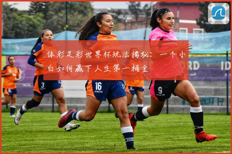 体彩足彩世界杯玩法揭秘：一个小白如何赢下人生第一桶金