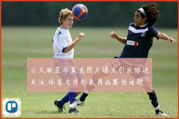 小天狼星布莱克图片曝光引发球迷关注 体育名将形象再成赛场话题