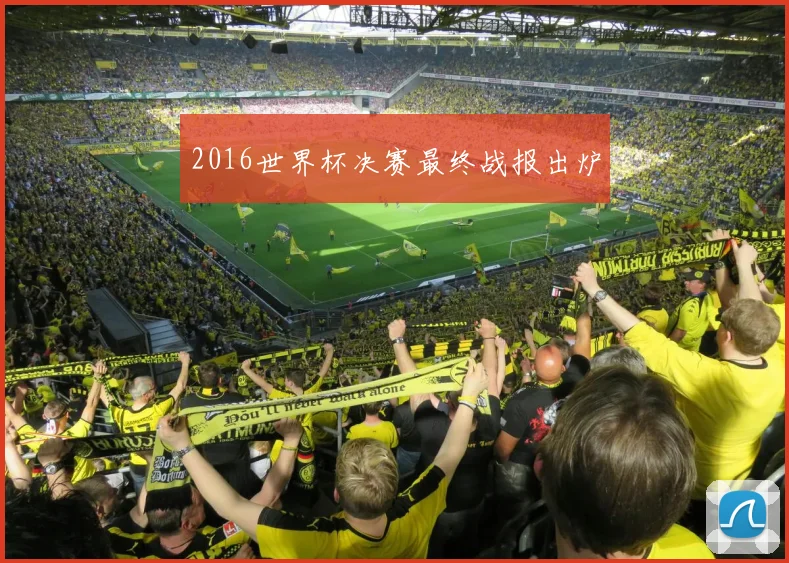 2016世界杯决赛最终战报出炉